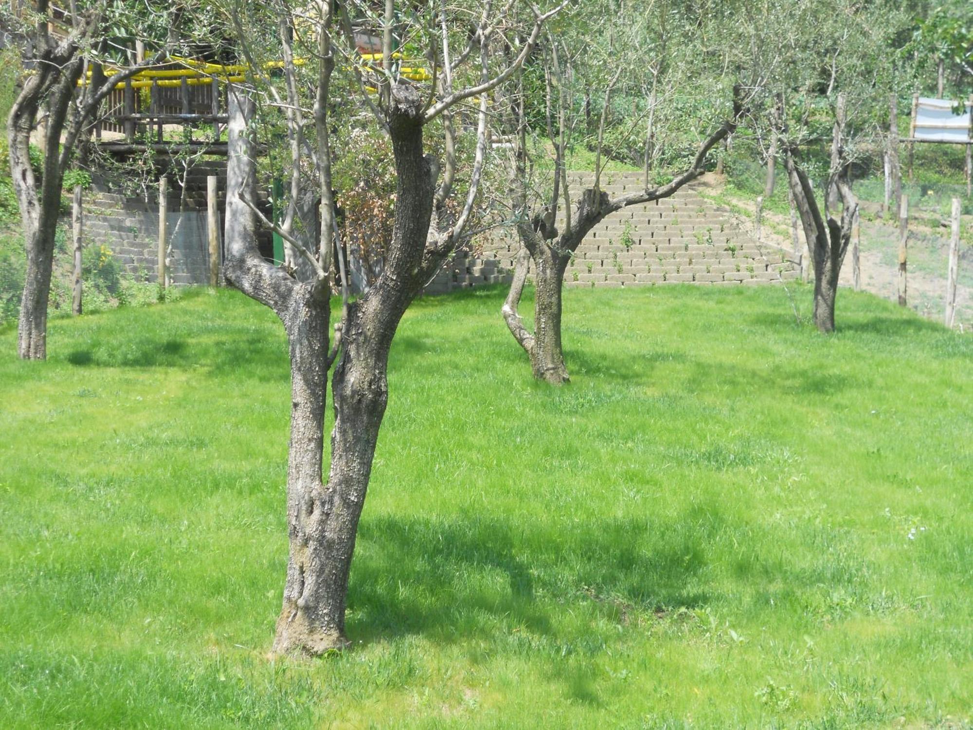 Agriturismo La Casa Del Ghiro Pimonte Zewnętrze zdjęcie